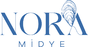 Noramidye Logo